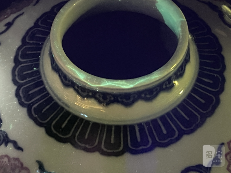 清乾隆 青花釉里红缠枝花卉纹梅瓶 - 图14